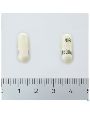 Sinequan caps 100x25mg