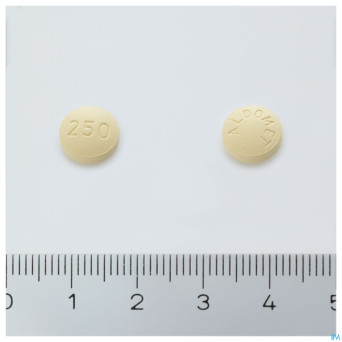 Aldomet comp  100 x 250 mg