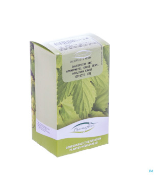 Galeopsidis herbe boite    100g pharmafl