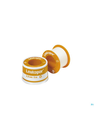 Leukopor fourreau sparadrap  2,50cmx5,0m 1 0247200