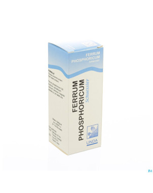 Schuessler n iv   fe phosphoric.100 boiron