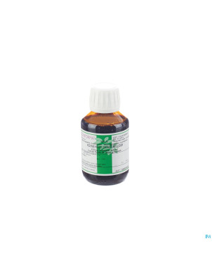 Lierre grimp.flle extr.fl 100g conf