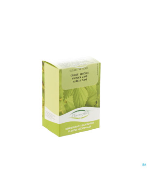 Courge semence boite    100g pharmafl