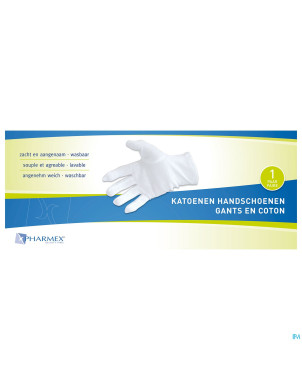 Pharmex gants coton x-large 2