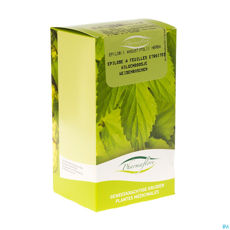 Epilobe angustifolium boite    100g fag