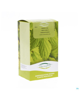 Haricot cosse boite    100g pharmafl