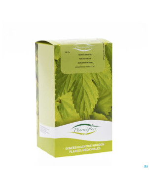 Marjolaine boite    100g pharmafl