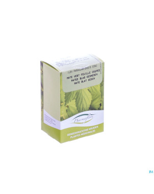 Mate vert feuille boite    100g fag
