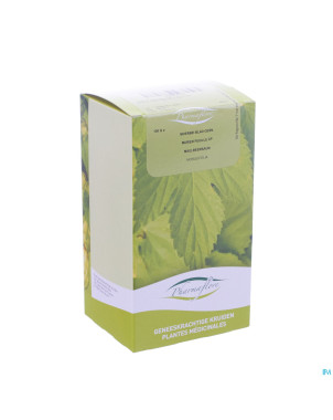 Murier feuille boite    100g pharmafl