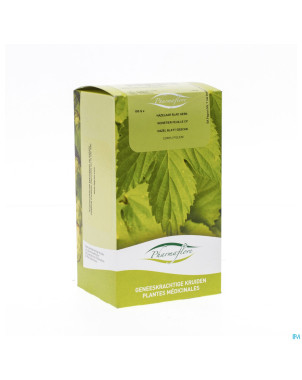 Noisetier feuille boite    100g pharmafl