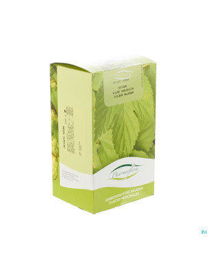 Origan    250g pharmafl