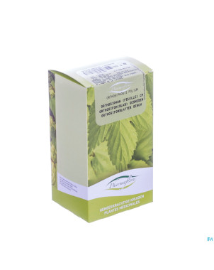 Orthosiphon feuille boite    100g fag