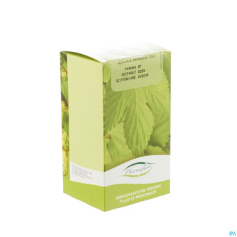 Panama bois boite    100g pharmafl