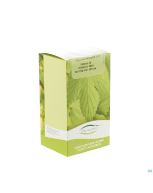 Panama bois boite    100g pharmafl