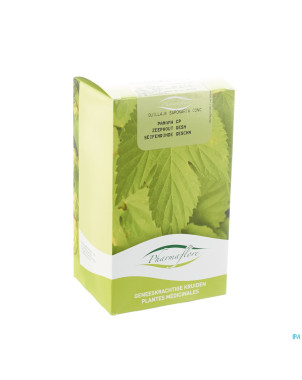 Panama bois boite    250g pharmafl