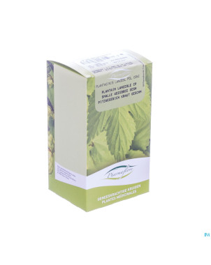 Plantain minor herbe    100g fag