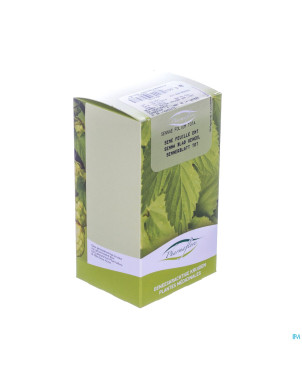 Sene feuille entiere boite    100g fag