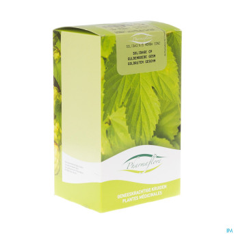 Solidage verge d'or herbe boite    250g fag