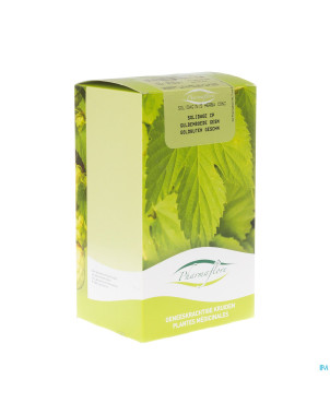 Solidage verge d'or herbe boite    250g fag