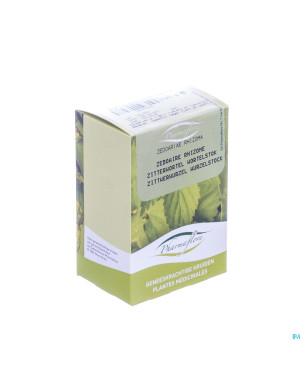 Zedoaire rhizome boite    100g pharmafl