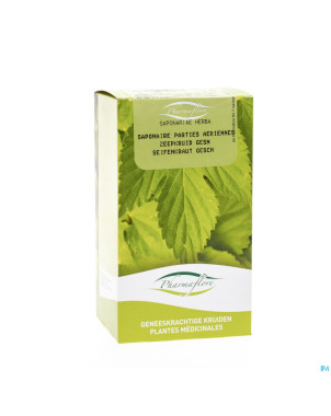 Saponaire herbe boite    100g pharmafl