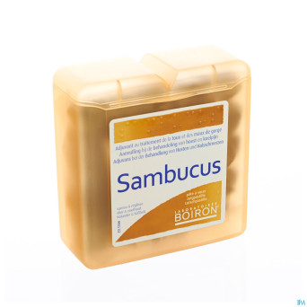 Sambucus past pate    70g boiron
