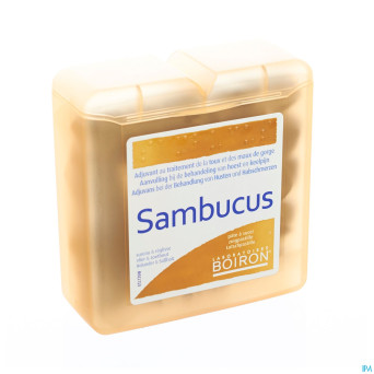 Sambucus past pate    70g boiron