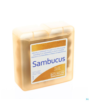 Sambucus past pate    70g boiron
