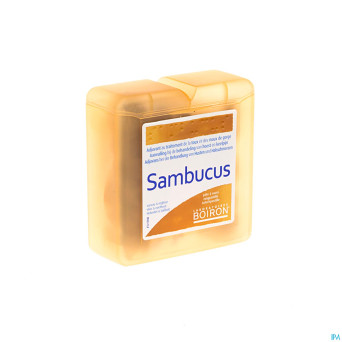 Sambucus past pate    70g boiron