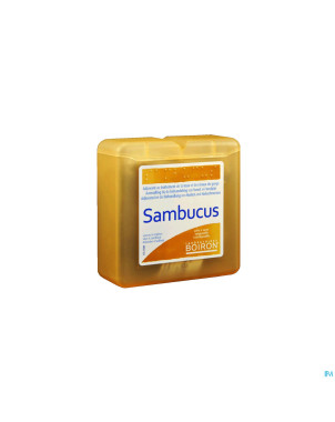 Sambucus past pate    70g boiron