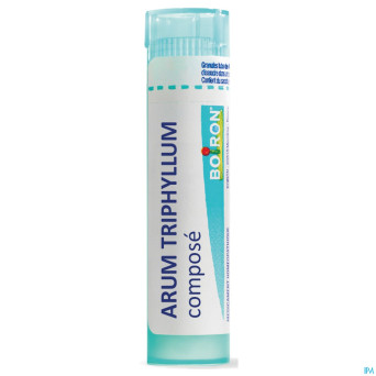 Arum triphyllum comp gran    boiron