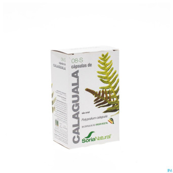 Soria soricapsule single n 8-s calaguala    60