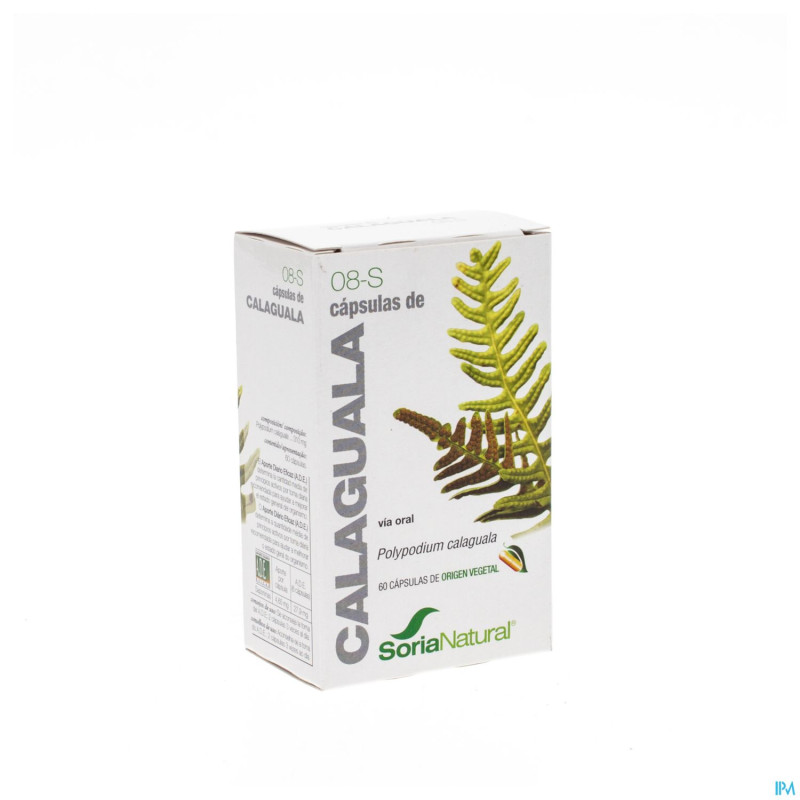 Soria soricapsule single n 8-s calaguala    60