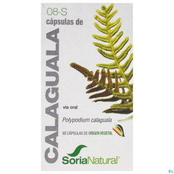 Soria soricapsule single n 8-s calaguala    60