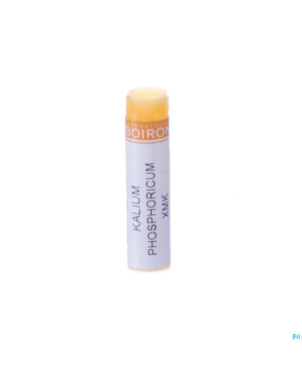 Kalium phosphoricum    xmk gl boiron