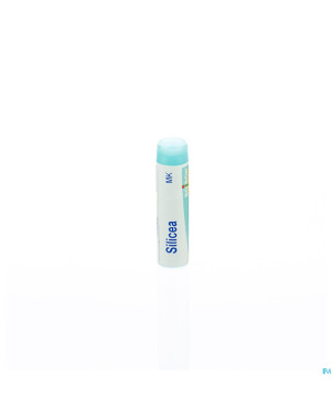 Silicea    mk gl boiron