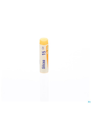 Silicea    15ch gl boiron