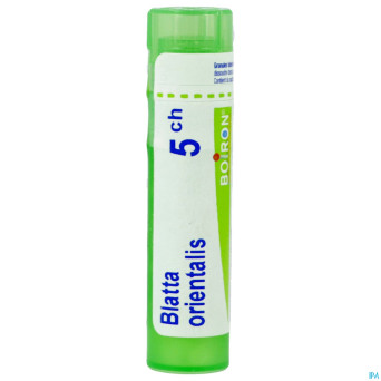 Blatta orientalis    5ch gr boiron