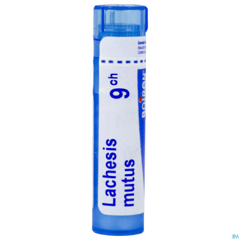 Lachesis mutus    9ch gl boiron