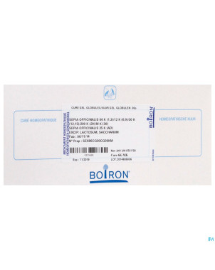 Sepia officinalis   cure 6k-mk boiron