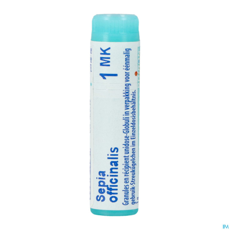 Sepia officinalis    mk gl boiron