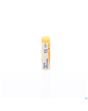 Sepia officinalis    15ch gl boiron