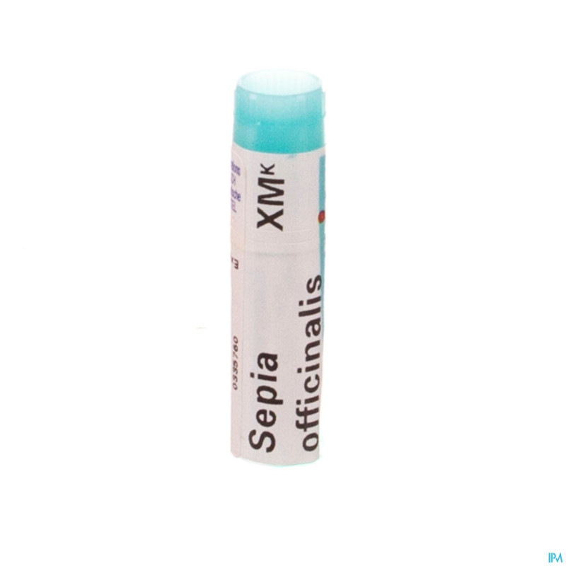 Sepia officinalis    xmk gl boiron