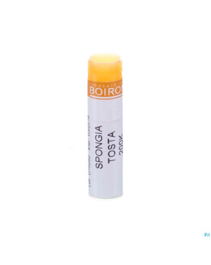 Spongia tosta    200k gl boiron