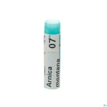 Arnica montana    7ch gl boiron