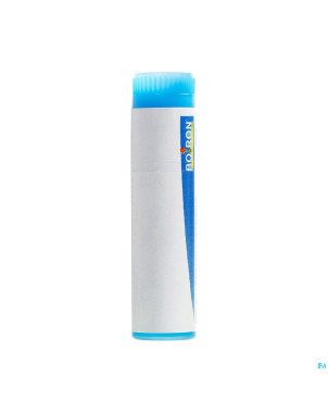 Arnica montana    mk gl boiron