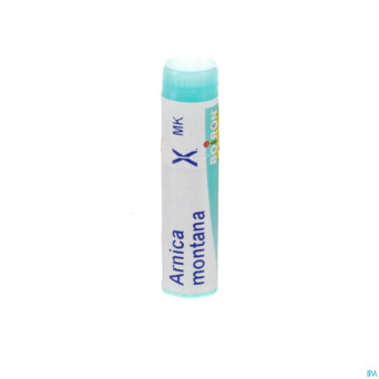 Arnica montana    xmk gl boiron