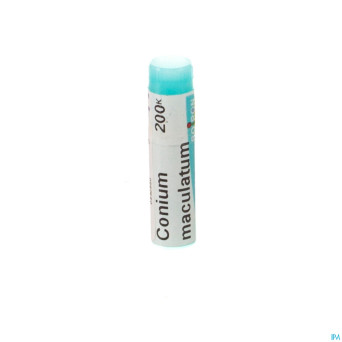 Conium maculatum    mk gl boiron