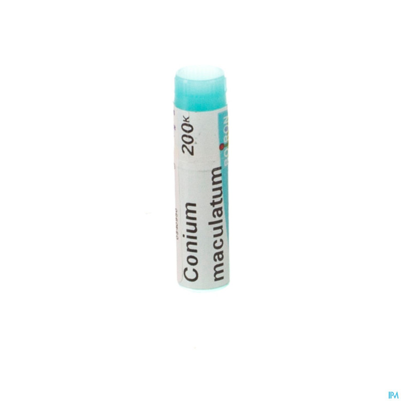 Conium maculatum    mk gl boiron