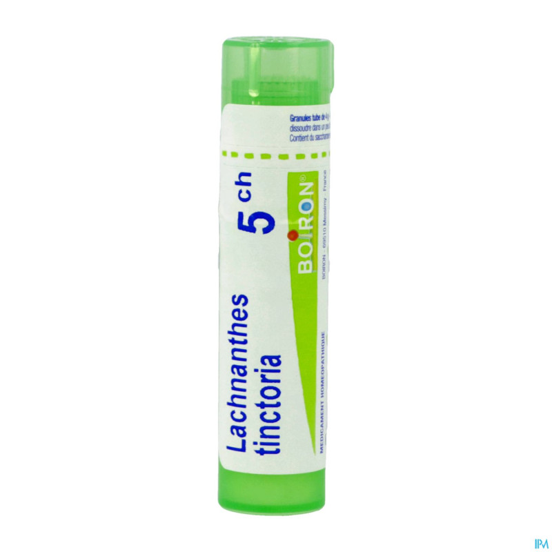 Lachnanthes tinctoria   5ch gr boiron